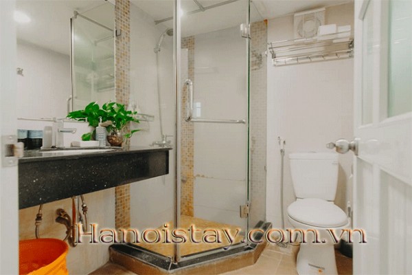 Very Bright Apartment Rental in Le Duan str, Hoan Kiem 8