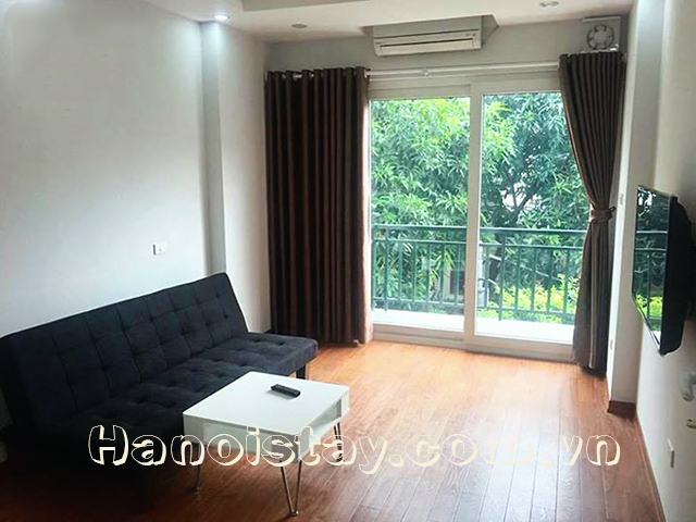 Very Bright One Bedroom Apartment Rental in Au Co street, Tay Ho 2