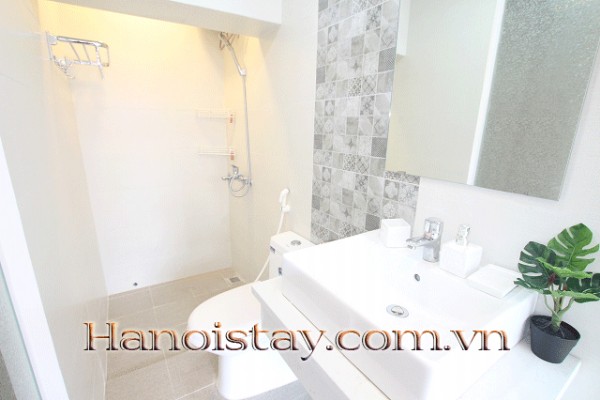 Very Bright One Bedroom Property Rental in Ngoc Khanh street, Ba Dinh 8