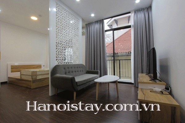 Very Bright Property Rental in Xuan Dieu street,Tay Ho, Nice Amenities 3