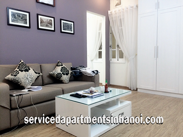 Very Cheap One Bedroom Apartment Rental in Au Co street, Modern Amenities 1