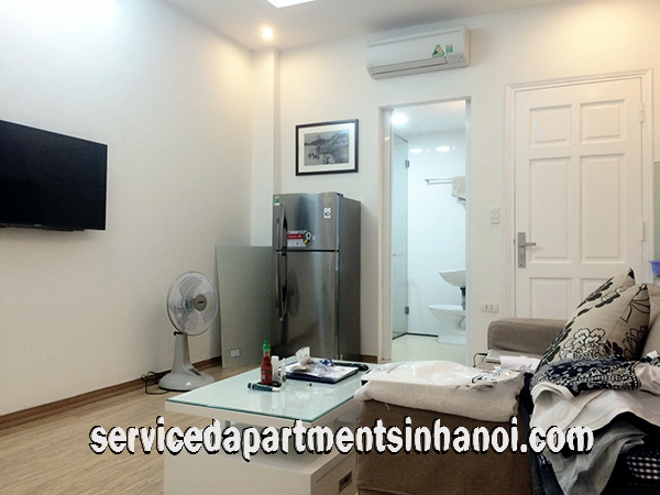 Very Cheap One Bedroom Apartment Rental in Au Co street, Modern Amenities 2
