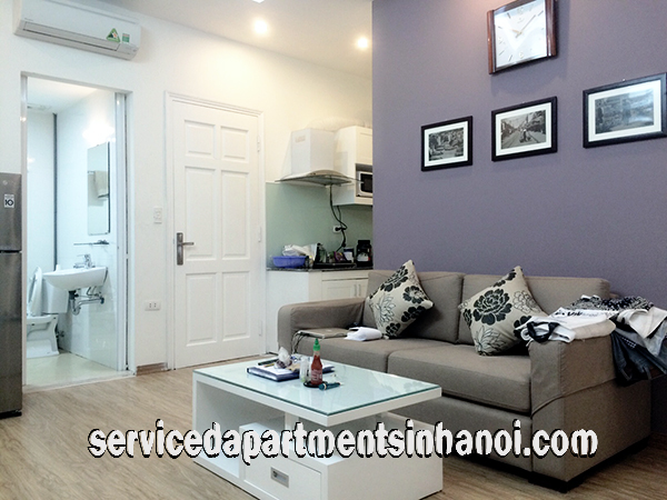 Very Cheap One Bedroom Apartment Rental in Au Co street, Modern Amenities 3
