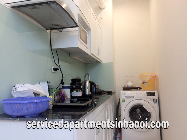 Very Cheap One Bedroom Apartment Rental in Au Co street, Modern Amenities 4