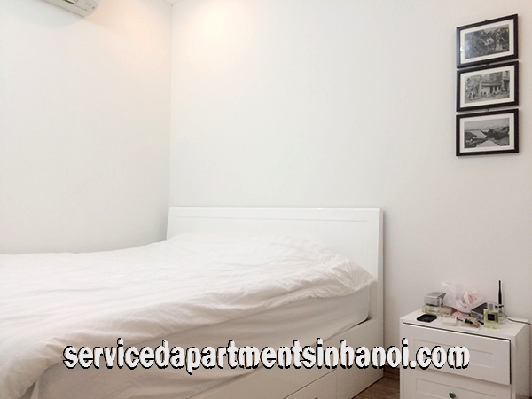 Very Cheap One Bedroom Apartment Rental in Au Co street, Modern Amenities 5