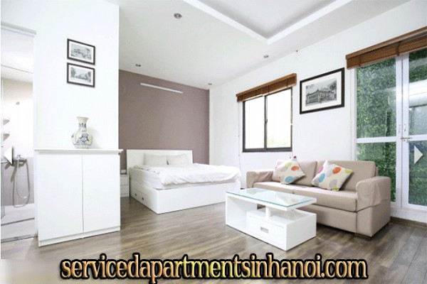 Very Cheap One Bedroom Apartment Rental in Au Co street, Modern Amenities 1