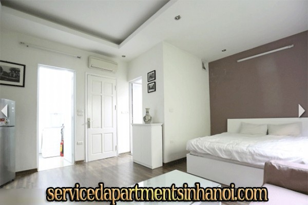 Very Cheap One Bedroom Apartment Rental in Au Co street, Modern Amenities 2