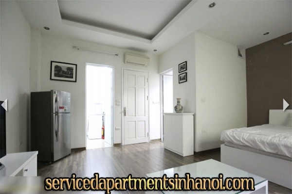 Very Cheap One Bedroom Apartment Rental in Au Co street, Modern Amenities 3