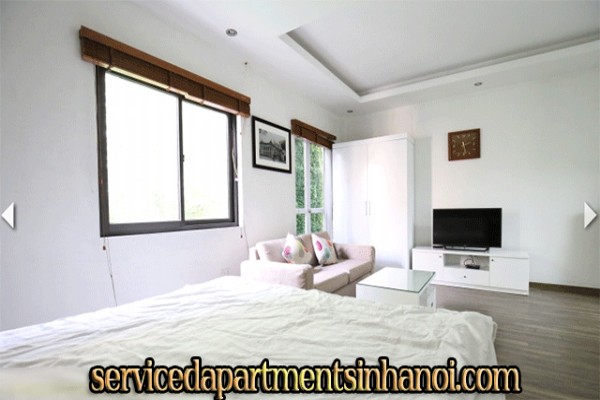 Very Cheap One Bedroom Apartment Rental in Au Co street, Modern Amenities 5