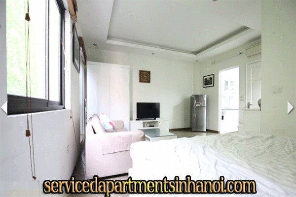 Very Cheap One Bedroom Apartment Rental in Au Co street, Modern Amenities 6