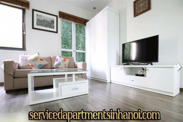 Very Cheap One Bedroom Apartment Rental in Au Co street, Modern Amenities 7