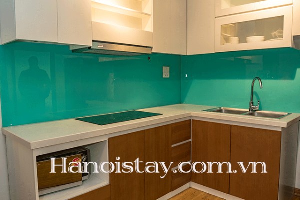 Very Modern and Brand New Two Bedroom Apartment in Tay Ho district, Close to Sheraton Hotel 10