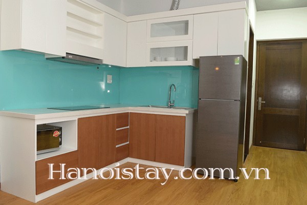 Very Modern and Brand New Two Bedroom Apartment in Tay Ho district, Close to Sheraton Hotel 4