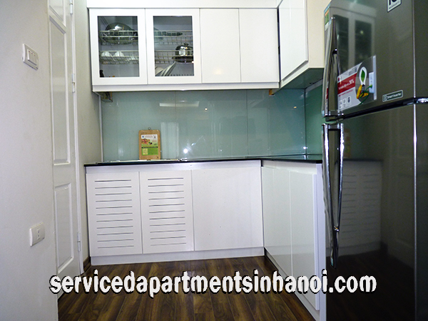 Very Modern One Bedroom Apartment Rental in Au Co st, Tay Ho 6