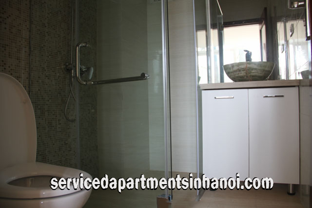 Very Modern One Bedroom Apartment Rental in Au Co street, Tay Ho 10