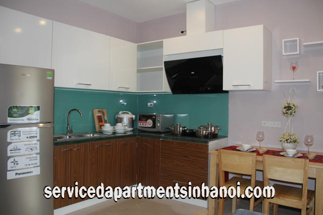 Very Modern One Bedroom Apartment Rental in Au Co street, Tay Ho 2