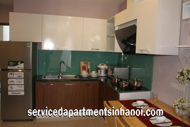 Very Modern One Bedroom Apartment Rental in Au Co street, Tay Ho 3