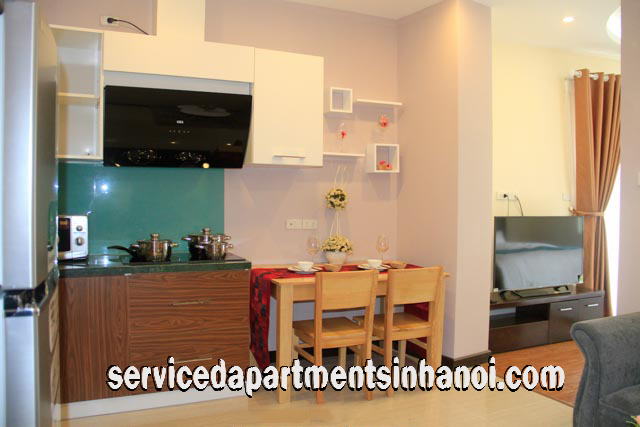 Very Modern One Bedroom Apartment Rental in Au Co street, Tay Ho 5