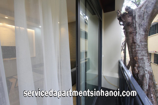 Very Modern One bedroom Apartment Rental in Center of Tay Ho district, Hanoi 6