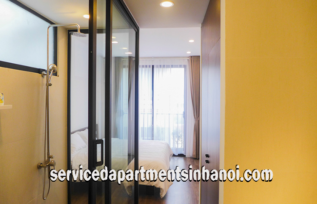 Very Modern One Bedroom Apartment Rental in To Ngoc Van street, Tay Ho 5