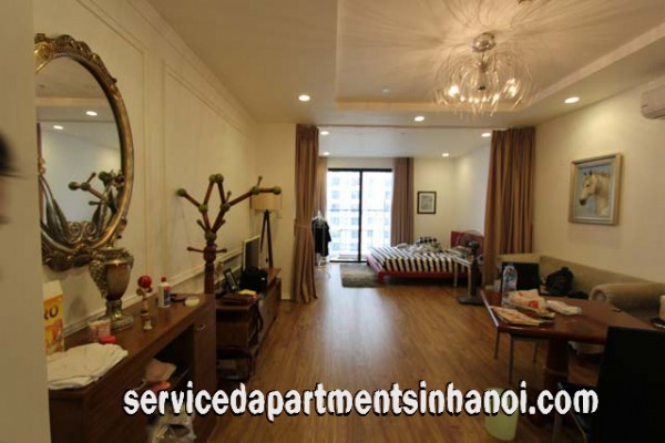 Very Modern Spacious One Bedroom Apartment Rental in Pho Hue str, Brand New Amenities 1