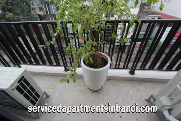 Very Modern Spacious One Bedroom Apartment Rental in Pho Hue str, Brand New Amenities 10