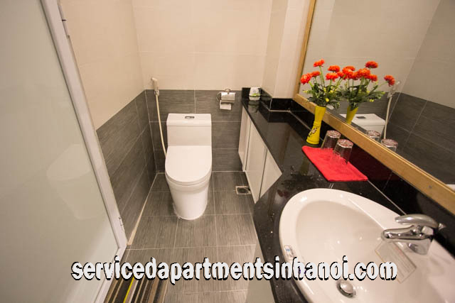 Very Modern Two Bedroom Apartment Rental in Tran Hung Dao street, Hoan Kiem 9