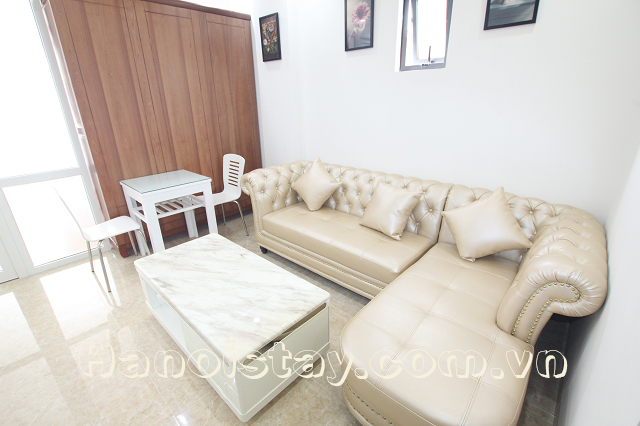 Very Nice One Bedroom Apartment Rental in Au Co street, Tay Ho 6