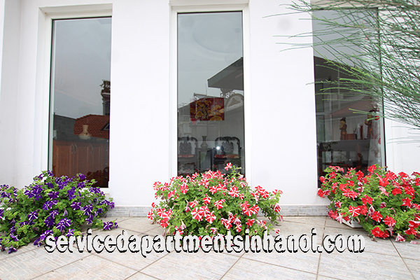 Very Nice One Bedroom Apartment Rental in Center of Ba Dinh, Very Nice Terrace 5