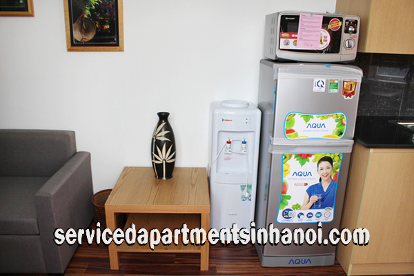 Very Nice One Bedroom Apartment Rental in Huynh Thuc Khang street, Dong Da 2