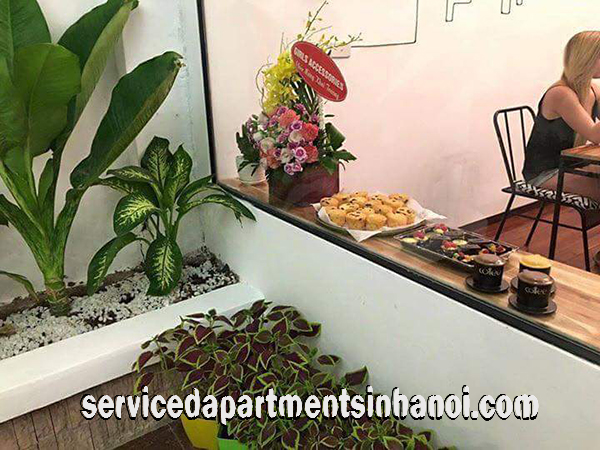 Very Nice Serviced Apartment Rental in Hai Ba Trung district, Hanoi 4
