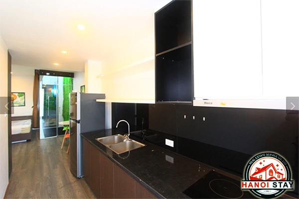 Western Artistic Property Rental in Lac Long Quan street, Cau Giay, Lovely Terrace 12