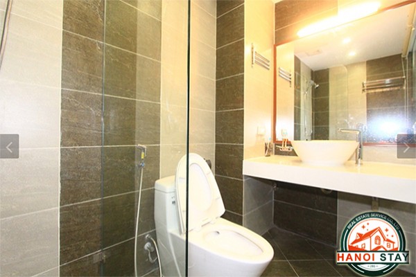 Western Artistic Property Rental in Lac Long Quan street, Cau Giay, Lovely Terrace 14